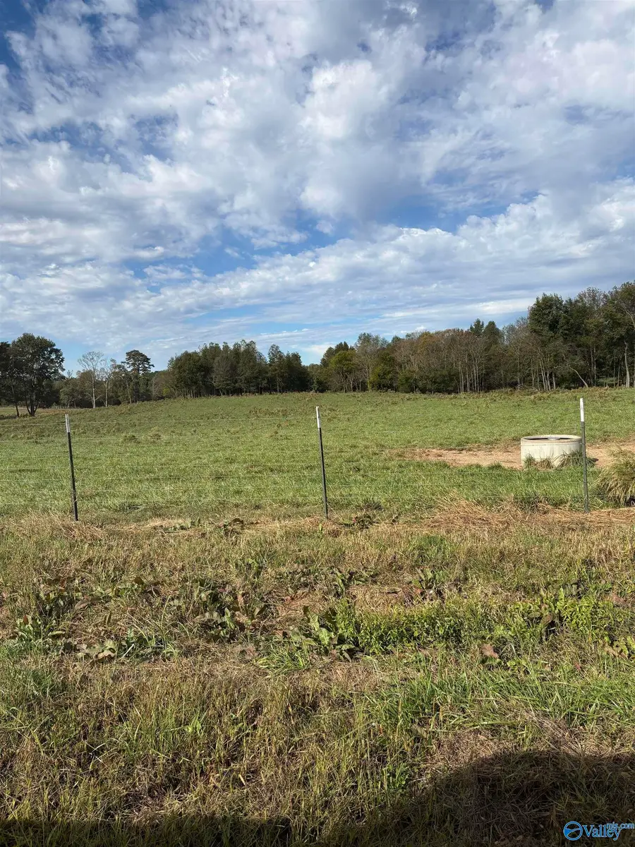 65.88ac Martling Road, Albertville, AL 35951 - #2