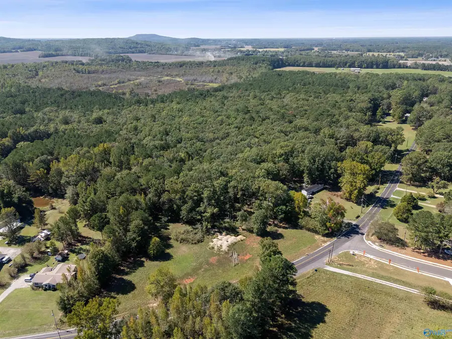 13 Acres Beaver Dam Road, Toney, AL 35773 - #3