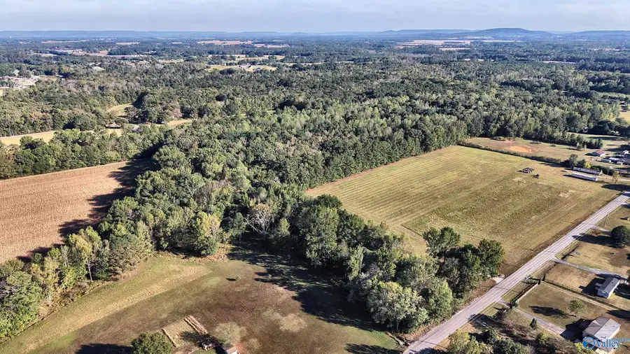 21.87 Acres Scott Road, Toney, AL 35773 - #3
