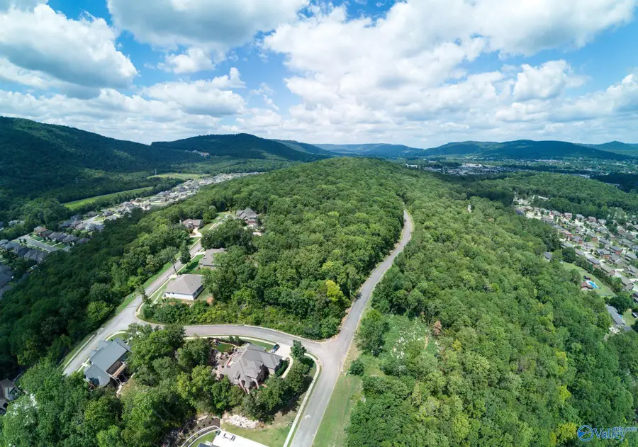 7043 Ridge Crest Road #Lot 57, Owens Cross Roads, AL 35763 - #3