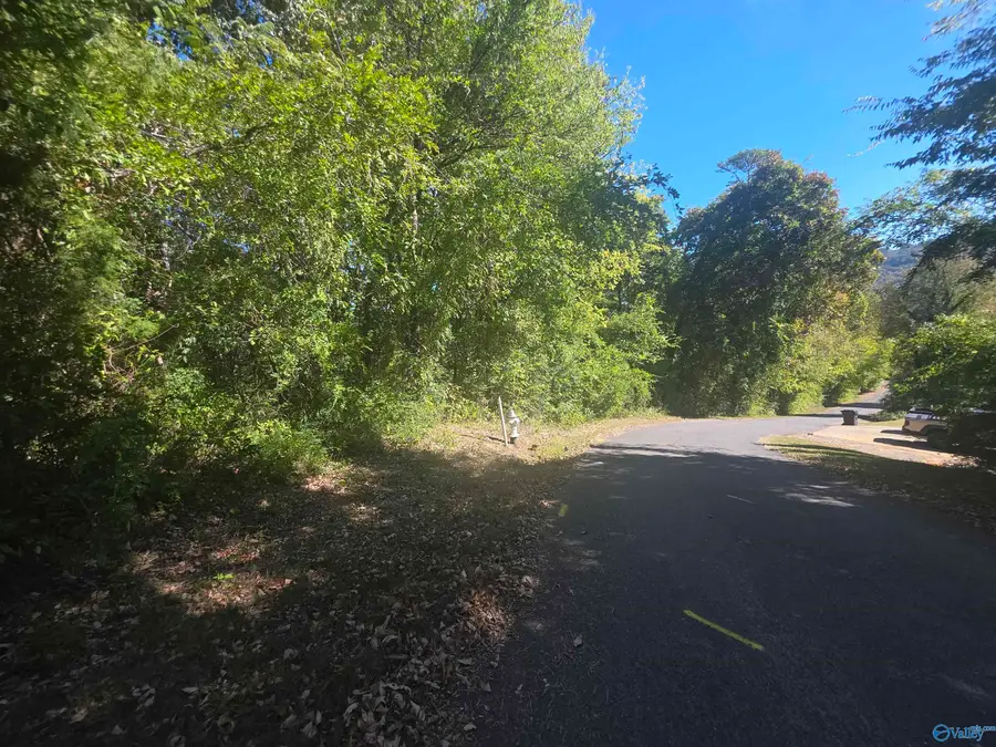 4.57 NW 10th Street, Fort Payne, AL 35967 - #3
