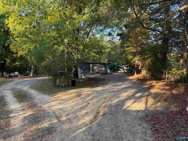 1020 Mathis Mill Road, ALBERTVILLE, AL 35951