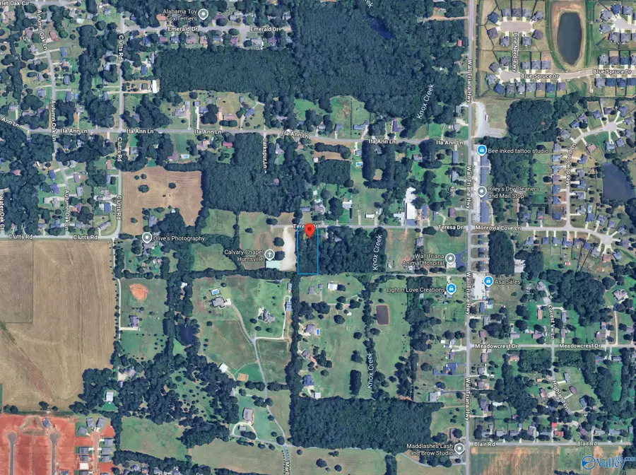 196 Teresa Drive, Madison, AL 35757 - #2