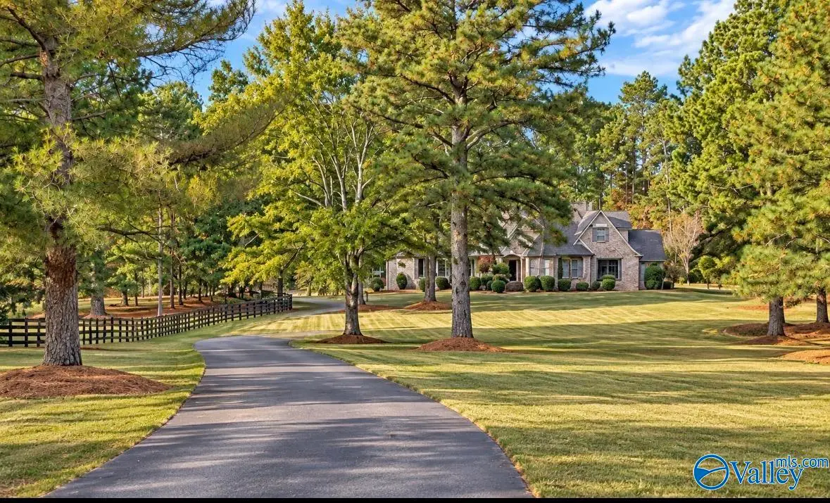 760 Rice Mill Chaviers Road, Albertville, AL 35951 - #1