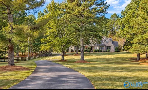 760 Rice Mill Chaviers Road, ALBERTVILLE, AL 35951