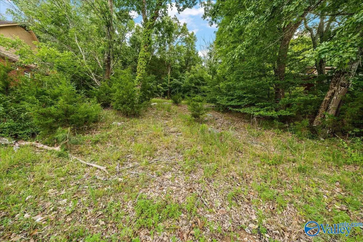 3040 Box Canyon Road, Huntsville, AL 35803 - #1