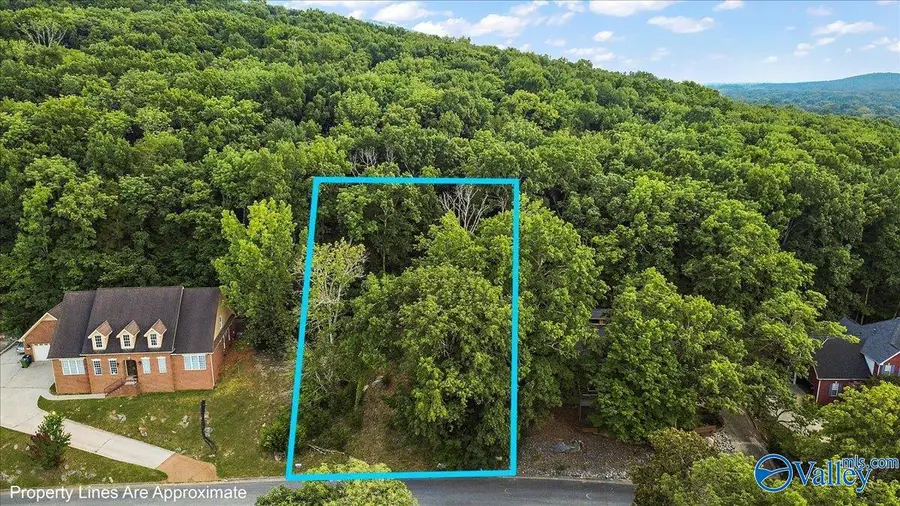 3040 Box Canyon Road, Huntsville, AL 35803 - #2