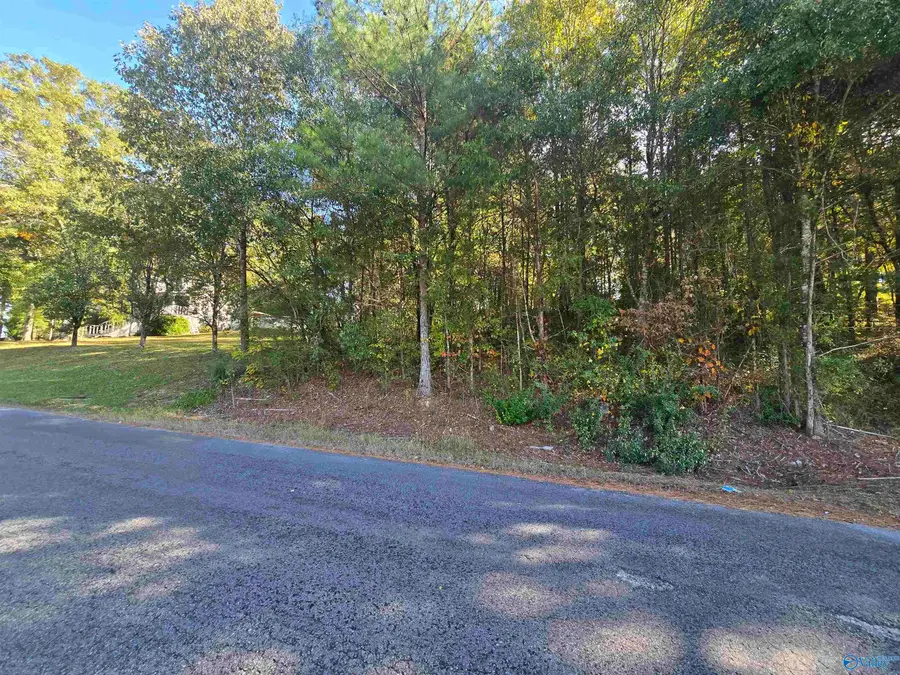3 acres Parton Street, Bridgeport, AL 35740 - #3