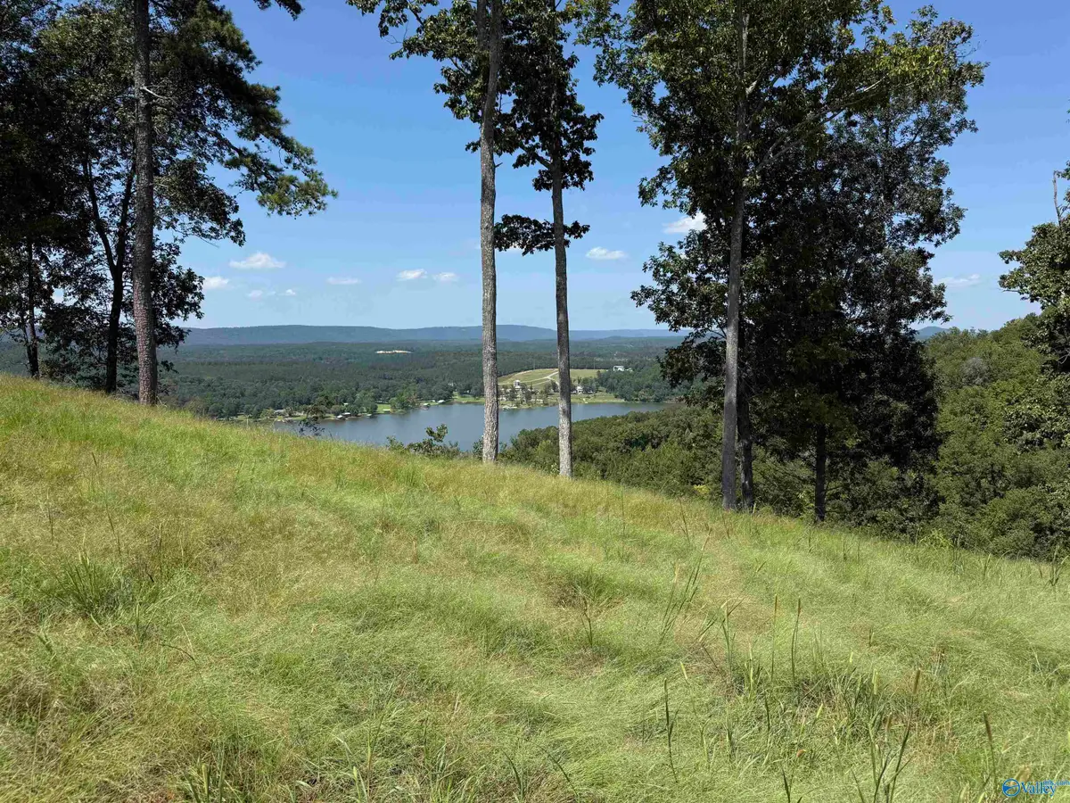 Lot 292 County Road 1022 #292, Cedar Bluff, AL 35959 - #1