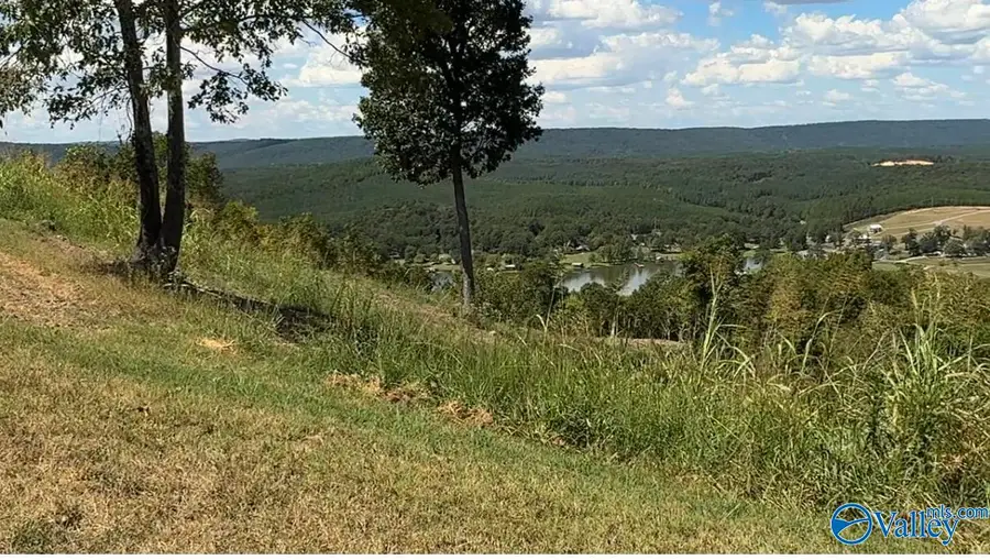 Lot 292 County Road 1022 #292, Cedar Bluff, AL 35959 - #2
