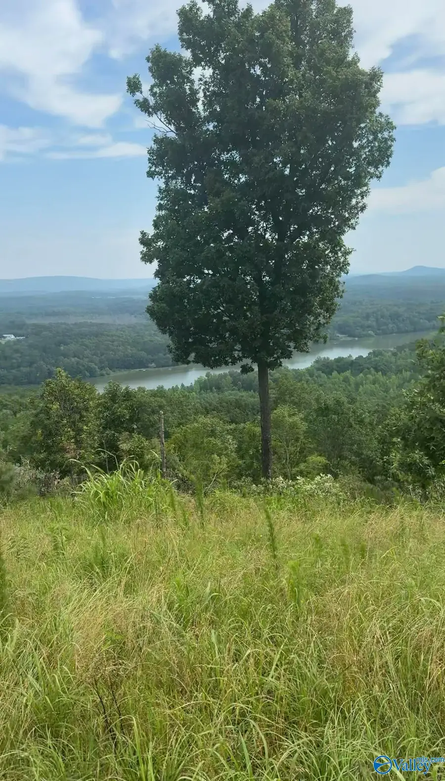 Lot 292 County Road 1022 #292, Cedar Bluff, AL 35959 - #3