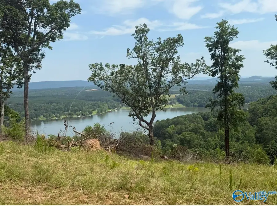 Lot 206 County Road 1022 #206, Cedar Bluff, AL 35959 - #2