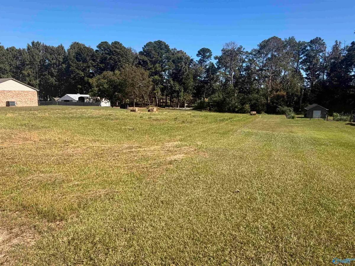 1.5 acres Hambrick Drive, Horton, AL 35980 - #1