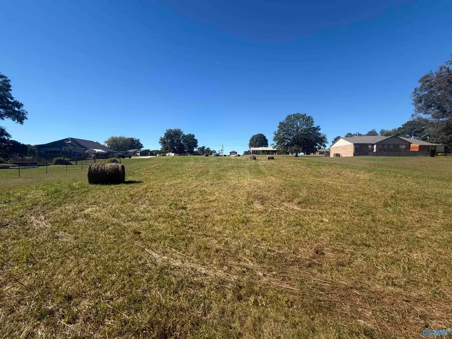 1.5 acres Hambrick Drive, Horton, AL 35980 - #2