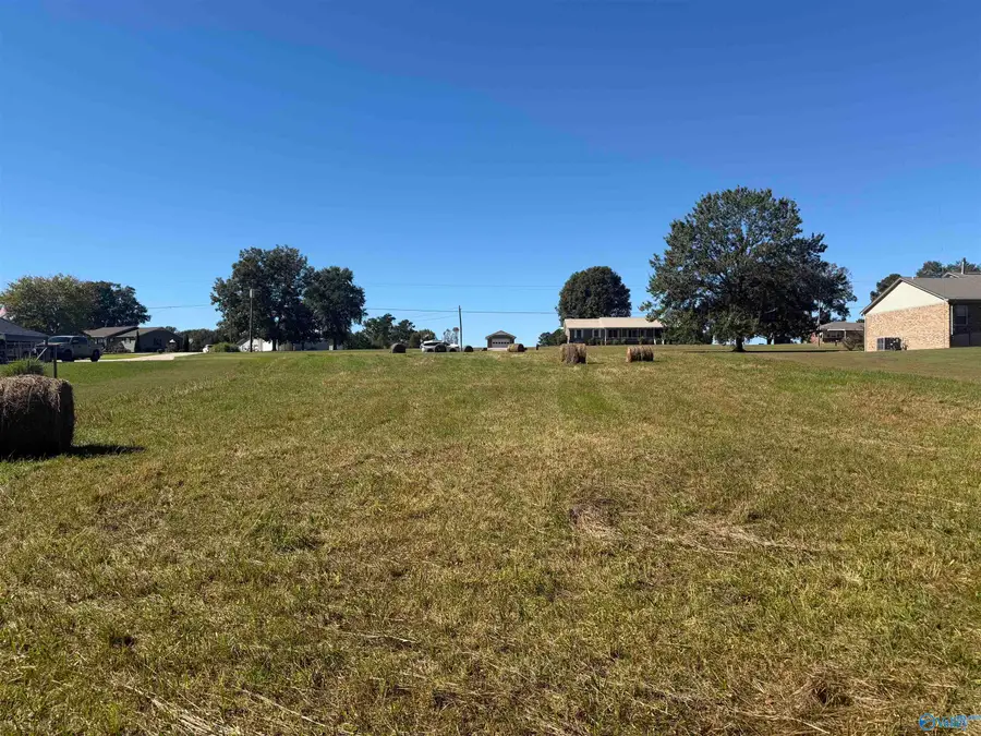 1.5 acres Hambrick Drive, Horton, AL 35980 - #3