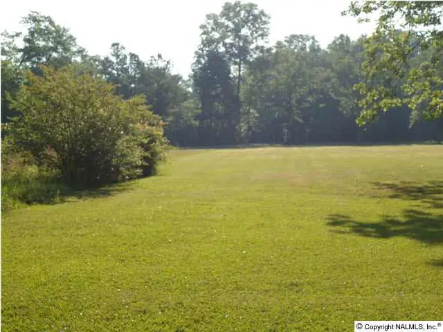 1117 Hooks Lake Road, Gadsden, AL 35901 - #1