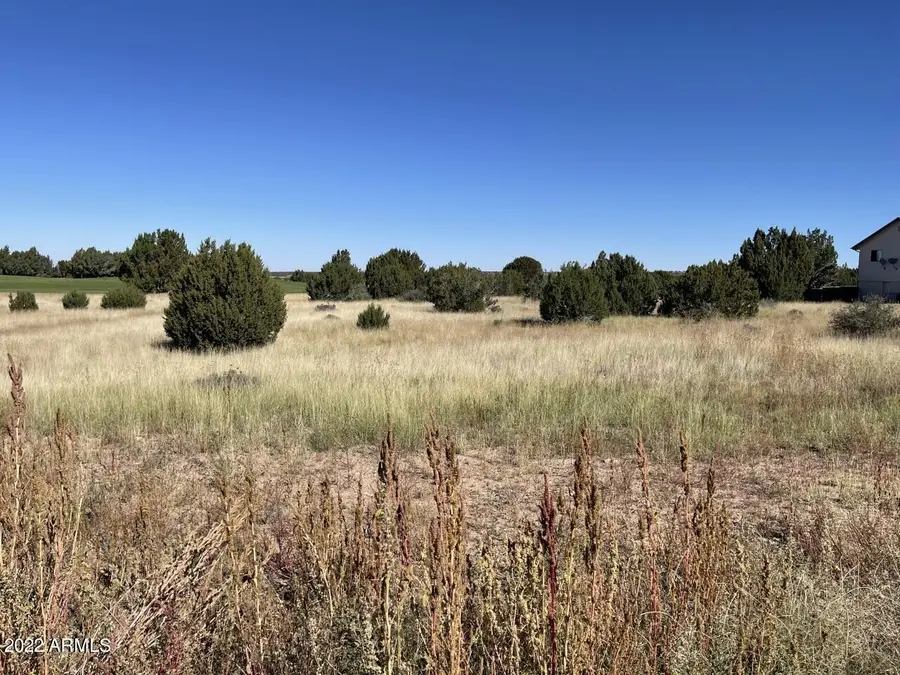 1951 Creekside Circle #77, White Mountain Lake, AZ 85901 - Image #3