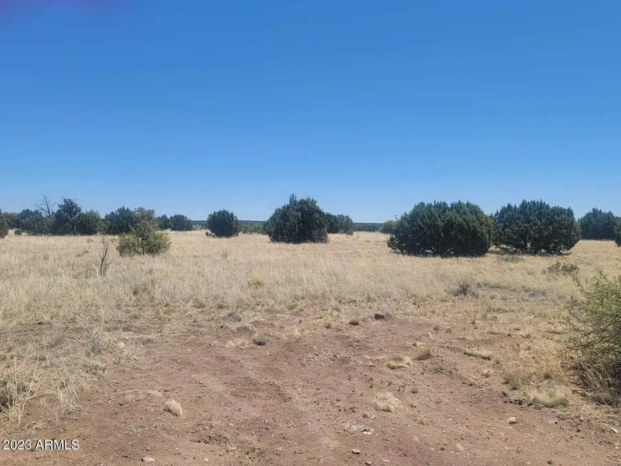 8430 Lake View Drive #79, Show Low, AZ 85901 - Image #3