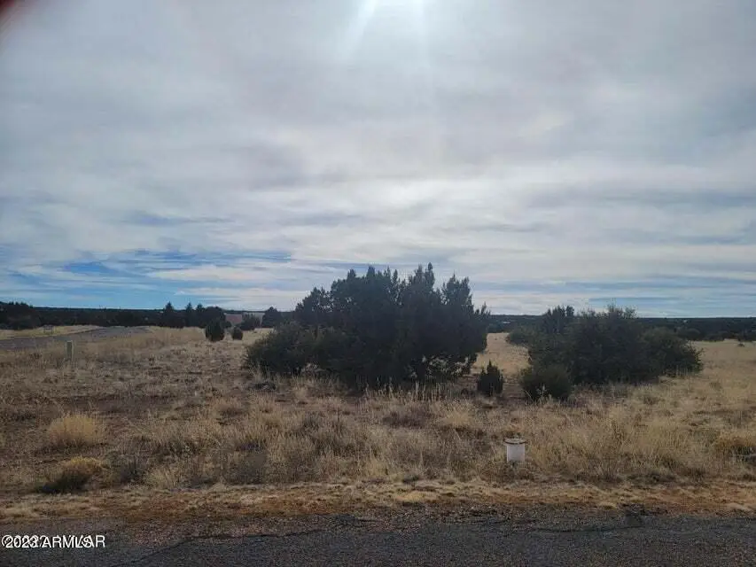 1961 Creekside Circle #074, Show Low, AZ 85901 - Image #1