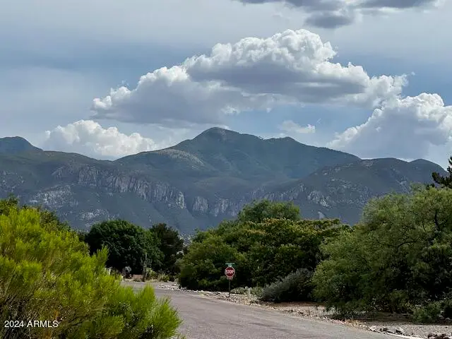 Lot 229 S Sauk Avenue #229, Sierra Vista, AZ 85650 - Image #2
