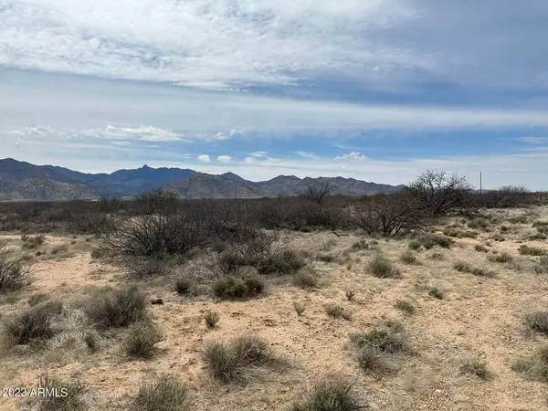 AAA S Buckeye Apache A Road #9, Bowie, AZ 85605