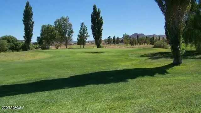 #3