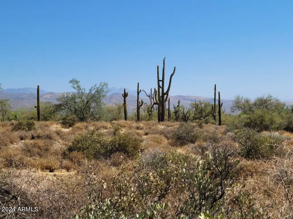 17XXX E Gloria Lane, Tonto National Forest, AZ 85263 - Image #1