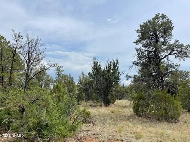 8418 Haven Crest Drive #223, Happy Jack, AZ 86024 - #3