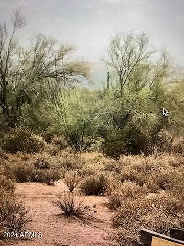 #3