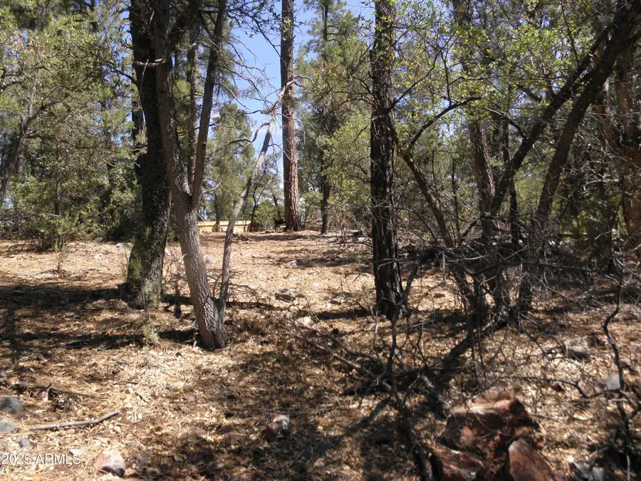 6454 W Bradshaw Drive #116, Pine, AZ 85544 - #3