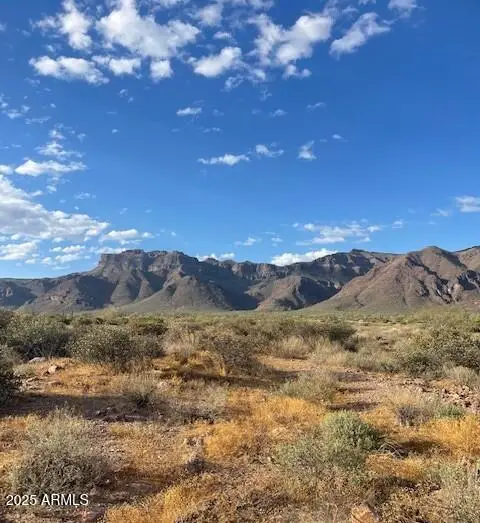 9300 E Bunny Ear Ln Lot 4-c Lane #Lot 4-C, Gold Canyon, AZ 85118 - Image #3