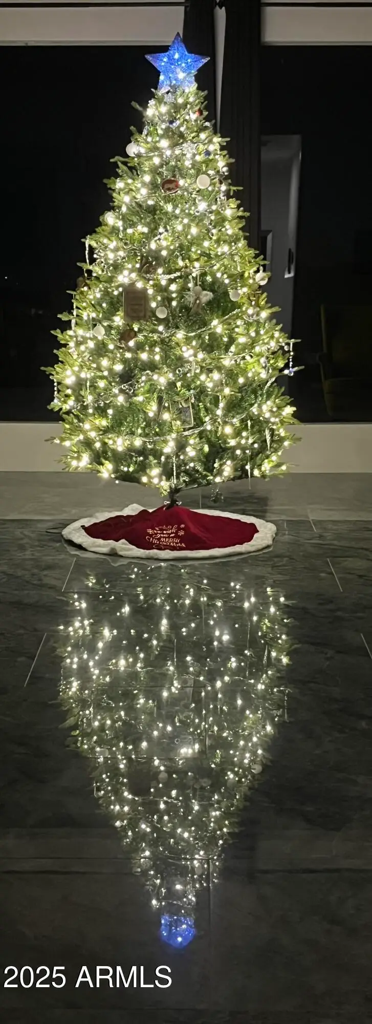 11426 E Quail Lane, Tonto National Forest, AZ 85331 - #2