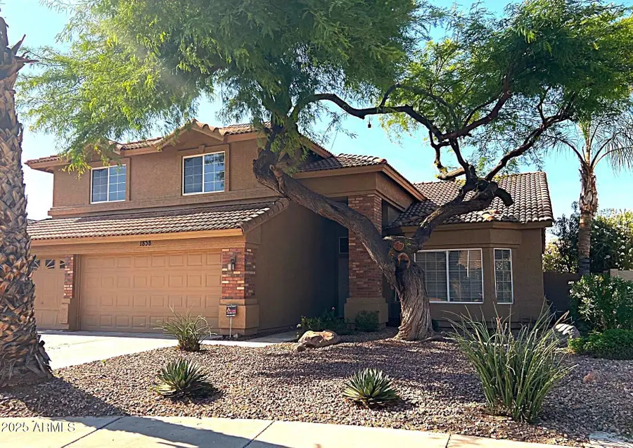 1838 W Enfield Way, Chandler, AZ 85286 - Image #3