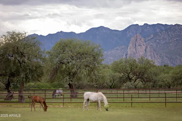 3155 W Elephant Head Road, Amado, AZ 85645