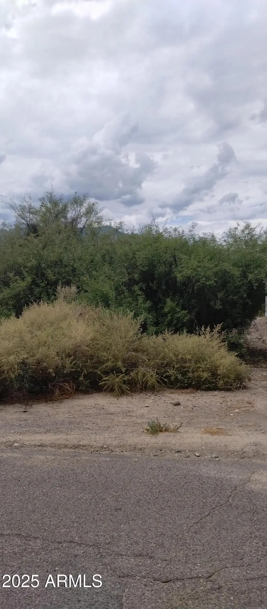 000 S Branding Iron Road #38, Swift Trail Junction, AZ 85546 - #2