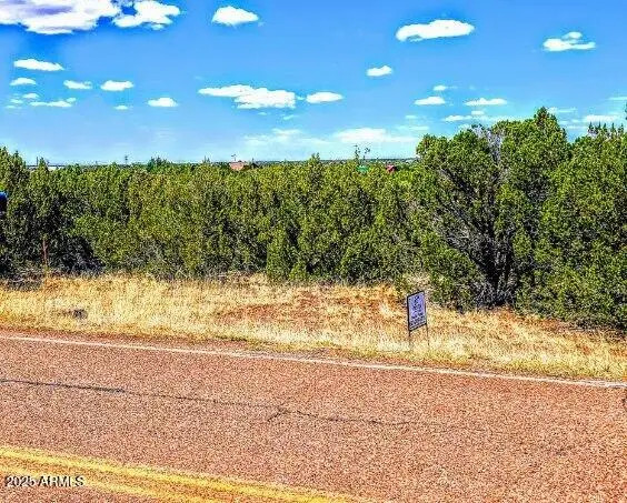 8546 Silver Creek Drive #44, White Mountain Lake, AZ 85901 - Image #2