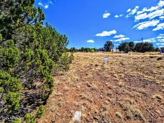 8546 Silver Creek Drive #44, White Mountain Lake, AZ 85901 - Image #3