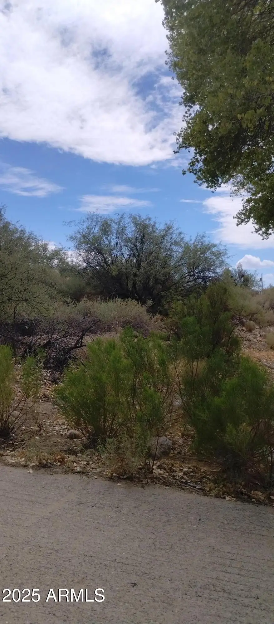 0000 W Doggie Drive #163, Swift Trail Junction, AZ 85546 - #3