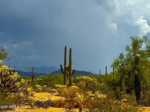 0 S Twin Hawk Lot #5 10 Acres --, Marana, AZ 85658