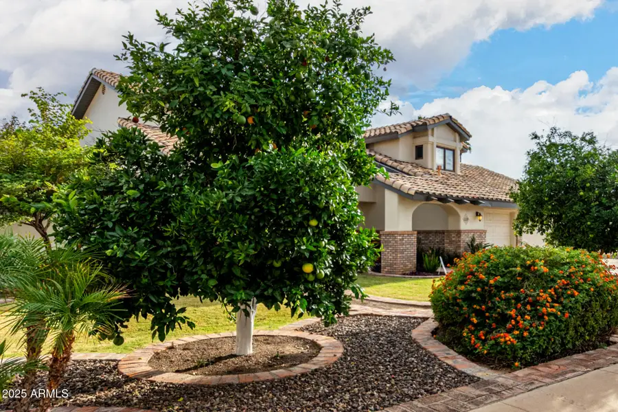 2237 E Lynwood Street, Mesa, AZ 85213 - Image #2