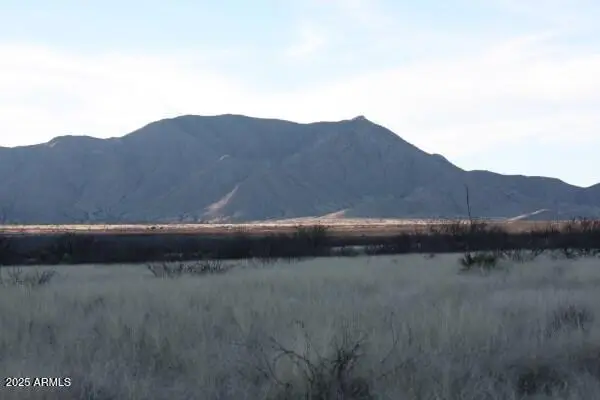 TBD E York Street #1, Cochise, AZ 85625 - Image #2