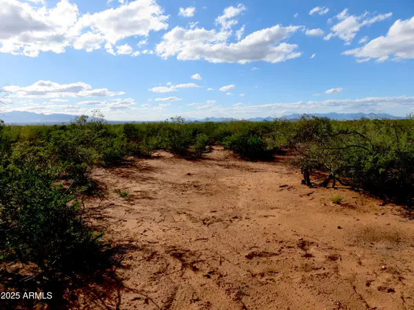 TBD S Dirksen Draw --, Tombstone, AZ 85638