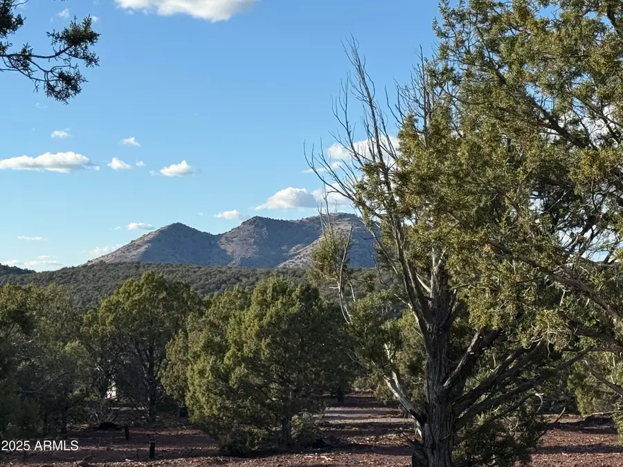 17375 Beale Wagon Road #458 and 457, Ash Fork, AZ 86046 - Image #3