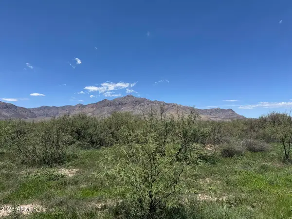 39.6 Acres W Paulo Rose Drive #2, Portal, AZ 85632