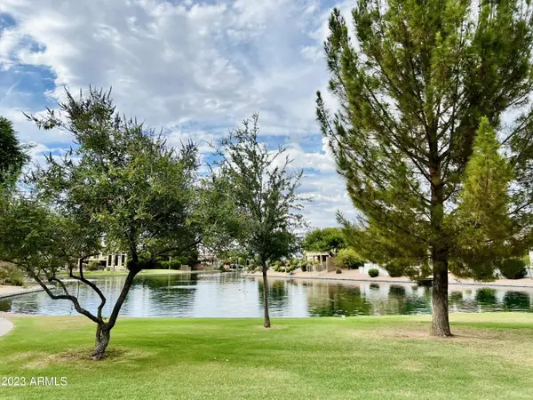 492 E Rainbow Drive, Chandler, AZ 85249