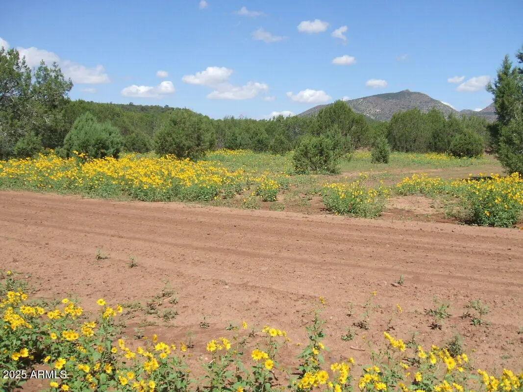 144 B N Ranch Road #144B, Ash Fork, AZ 86046 - Image #1