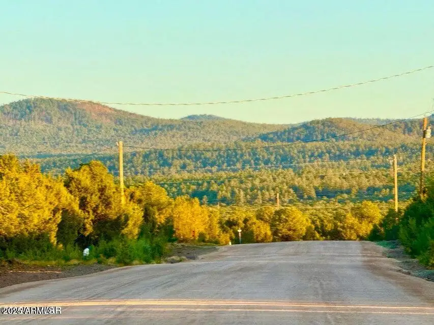 50 Winchester (3151) Blvd 2.51 Ac --, Eagar Springerville, AZ 85940 - Image #1