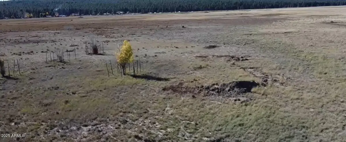 732 Lots A Luck Lane #6, Mormon Lake, AZ 86038 - Image #1