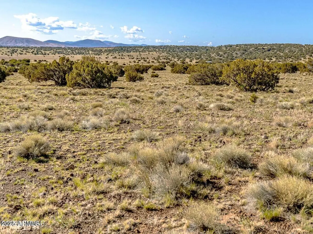 TBD Co Rd 5106 Lot #2 1.1 Acres --, Concho, AZ 85924 - Image #1
