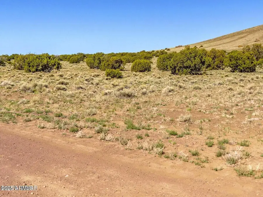 TBD Co Rd 5106 Lot #1 1.1 Acres --, Concho, AZ 85924 - Image #3